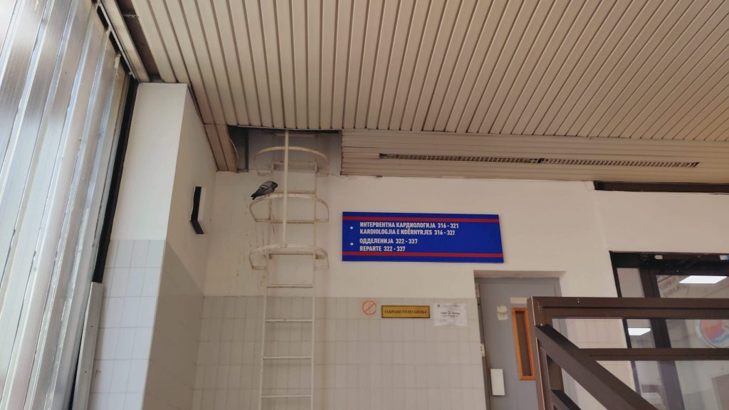 (ВИДЕО/ФОТО) Болници под секакво достоинство: Скапани душеци на Трауматологија, голубарници на Кардиологија